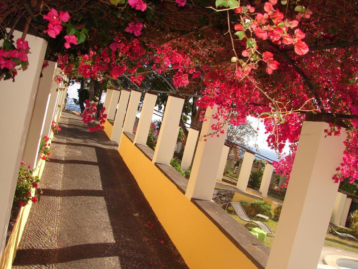 Private Pool Apt. With Great View Funchal  Ngoại thất bức ảnh