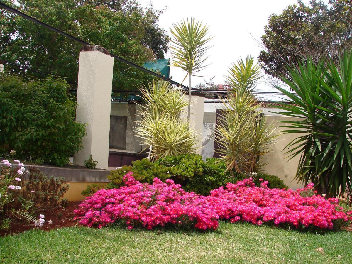 Private Pool Apt. With Great View Funchal  Ngoại thất bức ảnh