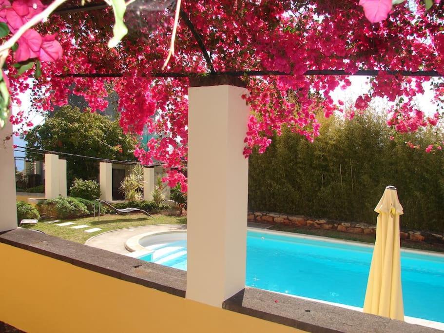 Private Pool Apt. With Great View Funchal  Ngoại thất bức ảnh