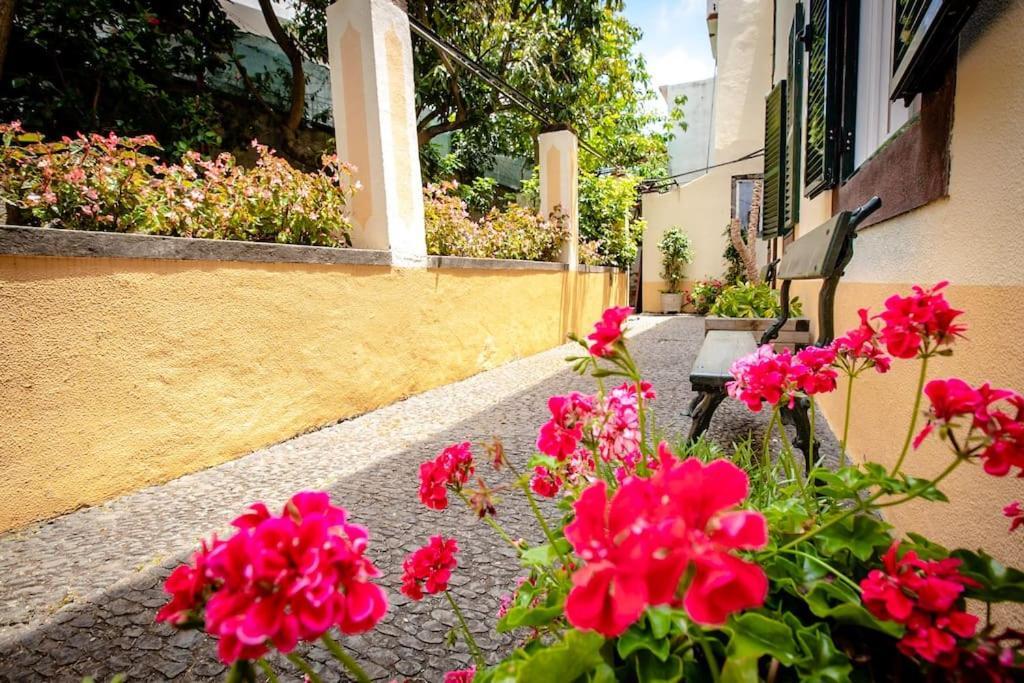 Private Pool Apt. With Great View Funchal  Ngoại thất bức ảnh