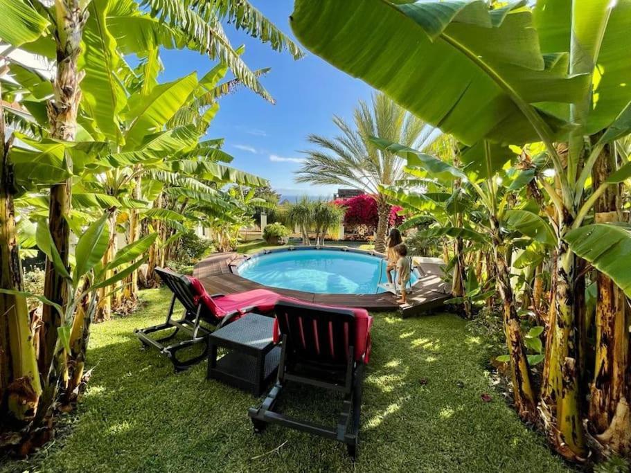 Private Pool Apt. With Great View Funchal  Ngoại thất bức ảnh